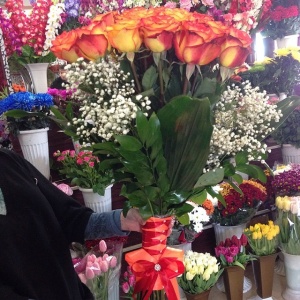 e2e04b2cadb411e39fda0ec904d91de7_8