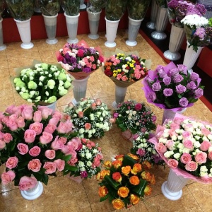 11123673_1377209872608724_149887601_n