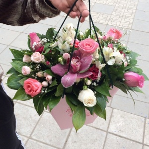 11024155_843536592360656_346028275_n