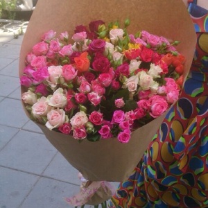 10508075_313371598819994_1598450776_n