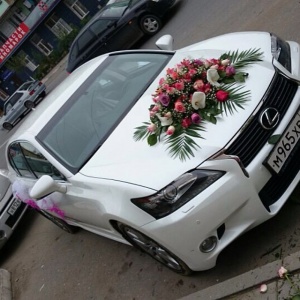 891307_1490191451192323_1119332942_n 1