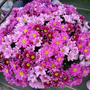 Подарочные букеты454