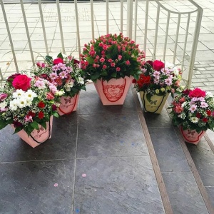 Корзины, коробочки  Махачкала...2132