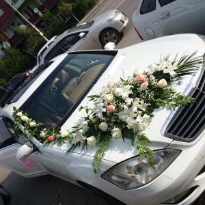 10731517_290823421117394_2068490924_n