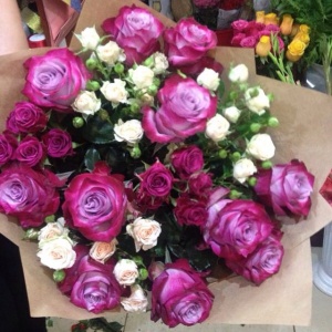 10543060_286755584866004_722647396_n