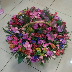 10852987_362500477262628_653915349_n