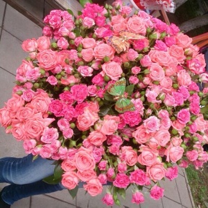 10251349_246872442181740_2119783826_n