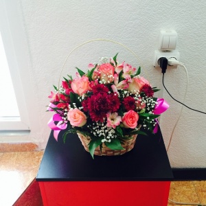 10949028_556323751136698_185579441_n