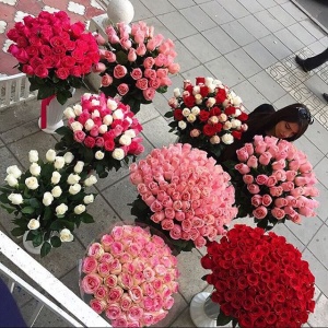 красота...2212