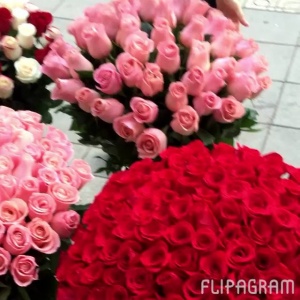 красота...2213