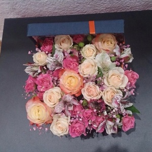 11007770_1549059532037104_1922720831_n