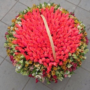 10296708_748872775143023_1630812562_n