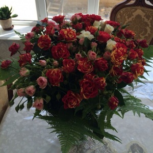 10251374_772523066123723_1160475604_n