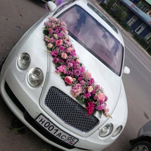 10724937_1715204828703637_121822492_n