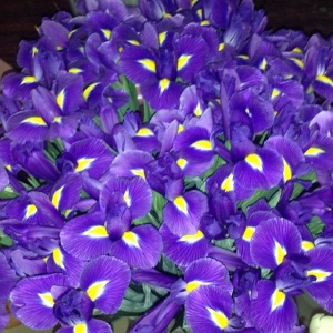 Праздничные букеты619