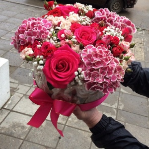 11078889_1421256741510628_1334873356_n