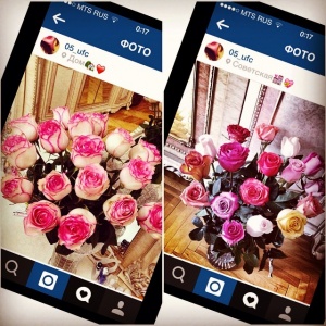 Наши работы...1733