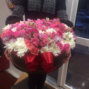 11142107_374703139402697_62790520_n