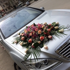 11078964_1625363517697174_1983170618_n