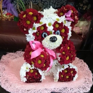 10004180_1413250542268329_757639579_n