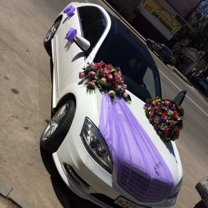 11142922_896237100463360_578277342_n