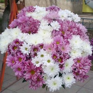 10245985_601317263291067_1025013783_n