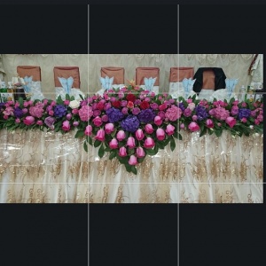 10254265_1501094196778926_1275817166_n