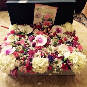 10963752_331099627088652_729383168_n