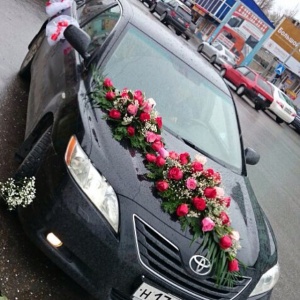 10254068_669979296402315_591164310_n