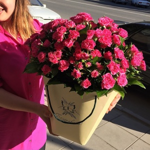 Корзины, коробочки...1671