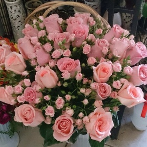 10693554_542324342566098_1376775357_n