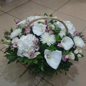 10261032_757001144318264_306330700_n