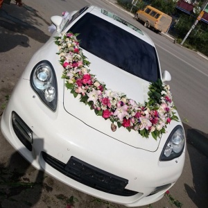 10747776_1549621865252754_498951878_n