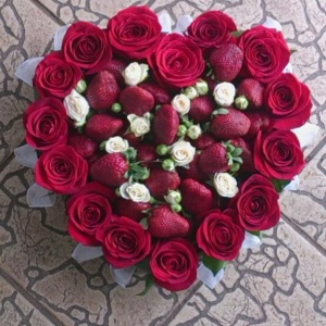 10268873_648027468602069_1374036310_n