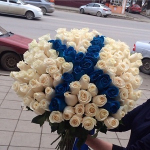 10514153_337182999814022_23789530_n