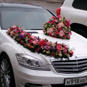 10948847_398213237019826_1634982019_n