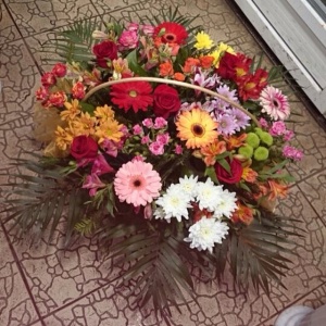 926433_445517715581587_310405851_n