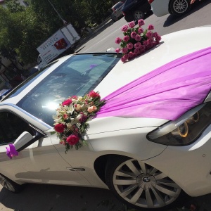 Оформление машин махачкала...1847