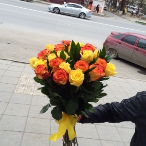 11184624_720764981369528_1667401470_n