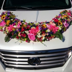 10261071_613580002064318_391970394_n