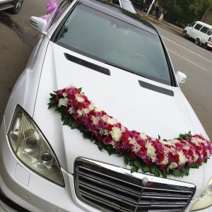 Оформление машины Махачкала...2197