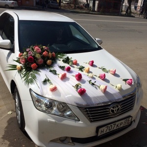 10838439_1416521725321326_1039315686_n