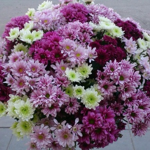 Праздничные букеты570