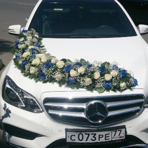 10570197_478505345585737_665660446_n