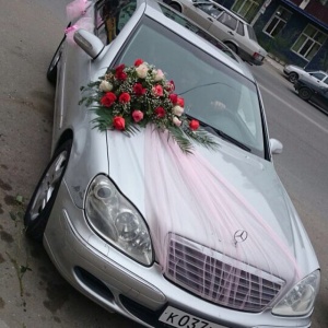 10175154_379722155498807_1133039727_n