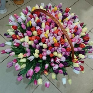 10175384_620044974752162_978882529_n