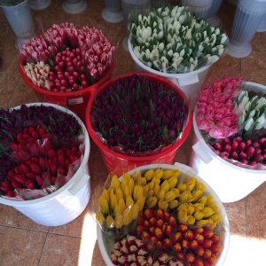 Наши работы...1735