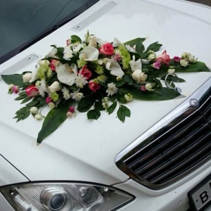 10311114_270012353178682_2035602340_n 1