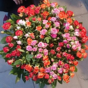 10175149_303149979840246_1781958860_n