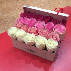 10986091_1534154623540117_1164777962_n